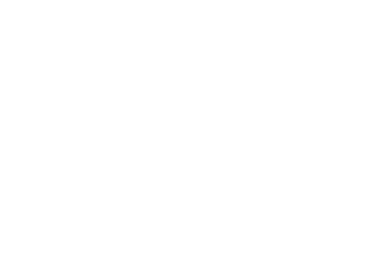 Vetty clinic